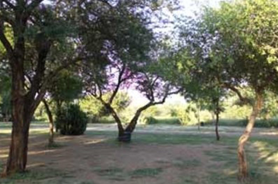 Crocodile Bridge Rest Camp Accommodation Kruger National Park SANParks