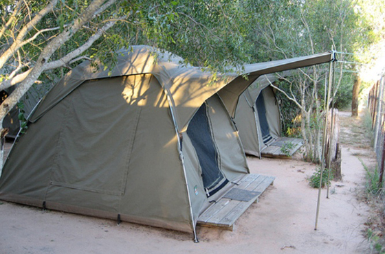 Maroela Satellite Camp Accommodation Kruger National Park SANParks