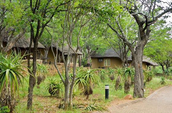 Olifants Rest Camp Accommodation Kruger National Park Kruger