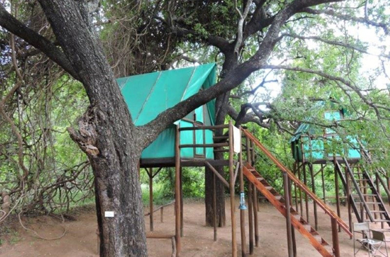 Pafuri Border Rest Camp Accommodation Kruger National Park SANParks
