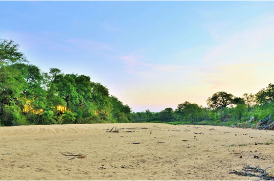 Rhino Post Safari Lodge Accommodation Kruger National Park SANParks